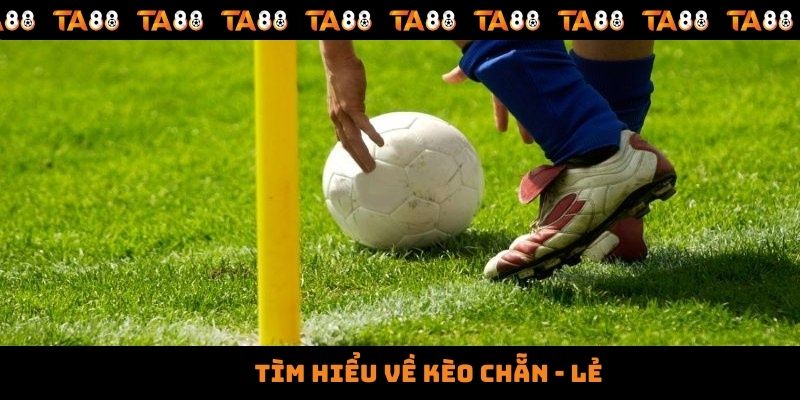 Kèo Chẵn Lẻ Là Gì Và Một Số Bí Kíp Chốt Kèo Hiệu Quả