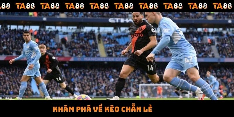 Khám phá về kèo chẵn lẻ