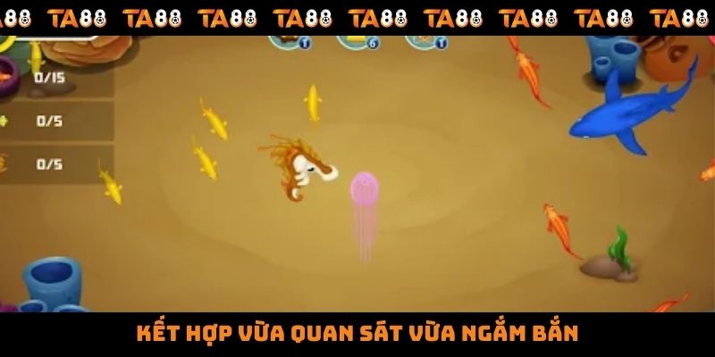 Kết hợp vừa quan sát vừa ngắm bắn